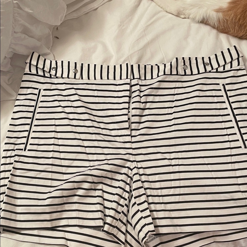 White House black market Striped White and Black Women’s Shorts